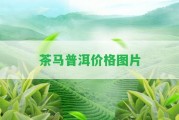 茶馬普洱價(jià)格圖片