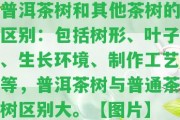 普洱茶樹和其他茶樹的區(qū)別：包含樹形、葉子、生長環(huán)境、制作工藝等，普洱茶樹與普通茶樹區(qū)別大。【圖片】