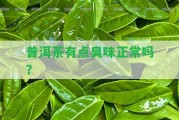 普洱茶有點臭味正常嗎？