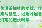 普洱茶加葉的功效、作用與禁忌，以及葉加普洱茶的泡水喝法