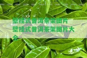 壁掛式普洱茶架圖片 壁掛式普洱茶架圖片大全