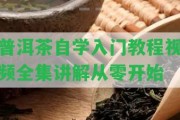 普洱茶自學(xué)入門教程視頻全集講解從零開始