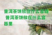 普洱茶餅放在什么容器 普洱茶餅放在什么容器里