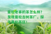 曼松老寨的茶怎么樣？發(fā)現(xiàn)曼松古樹(shù)茶廠，探尋曼松茶區(qū)！