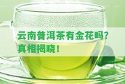 云南普洱茶有金花嗎？真相揭曉！