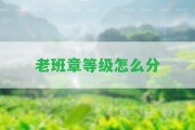 老班章等級(jí)怎么分