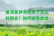 普洱茶筍殼拆開(kāi)了怎么封回去？怎樣避免蟲(chóng)蛀？