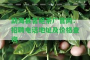 勐海縣茗艷茶廠官網(wǎng)：招聘電話地址及價(jià)格查詢