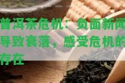 普洱茶危機(jī)：負(fù)面新聞引起衰落，感受危機(jī)的存在