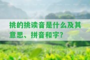 挑的挑讀音是什么及其意思、拼音和字？