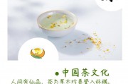 第九屆國(guó)際茶文化研討會(huì)將在青島舉行，孕婦能喝毛尖茶嗎