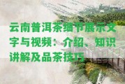 云南普洱茶細節(jié)展示文字與視頻：介紹、知識講解及品茶技巧