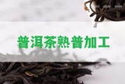 普洱茶熟普加工