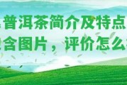 氏普洱茶簡介及特點(diǎn)，包含圖片，評價怎么樣？