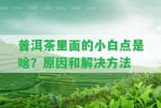 普洱茶里面的小白點是啥？起因和解決方法