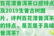 百花潭普洱茶口感特點及2019生普古樹圖片，評判百花潭普洱茶的特點，是不是屬于高端普洱茶？