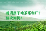 普洱屬于啥茶系和廠？檔次怎樣？