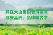 藏在大山里的普洱茶有哪些品種、品牌和名字？