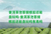 普洱茶泡菩提根后還能盤玩嗎-普洱茶泡菩提根后還能盤玩嗎有毒嗎