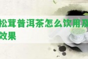 松茸普洱茶怎么飲用及效果