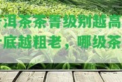 普洱茶茶菁級(jí)別越高，葉底越粗老，哪級(jí)茶青？