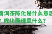 普洱茶陳化是什么意思？陳化原理是什么？