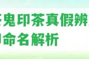 中茶鬼印茶真假辨別及鬼印命名解析