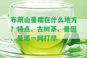 布朗山曼糯在什么地方？特點(diǎn)、古樹(shù)茶、曼囡、曼諾一網(wǎng)打盡