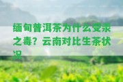 緬甸普洱茶為什么受汞之毒？云南對比生茶狀況