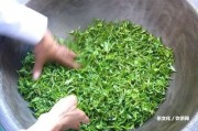 普洱茶餅外表有白色顆粒是正常現(xiàn)象嗎？怎么回事？