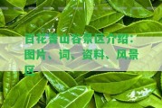 百花箐山谷景區(qū)介紹：圖片、詞、資料、風景區(qū)