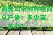 云南普洱茶樹(shù)種植面積及總產(chǎn)量：多少畝、多大、多少？