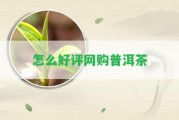 怎么好評(píng)網(wǎng)購(gòu)普洱茶