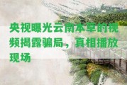 央視曝光云南本草的視頻揭露騙局，真相播放現(xiàn)場