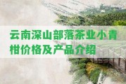 云南深山部落茶業(yè)小青柑價(jià)格及產(chǎn)品介紹