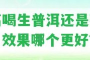 三高喝生普洱還是熟普洱？效果哪個更好？