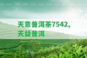 天意普洱茶7542,天益普洱