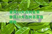 普洱10大古樹名茶 普洱10大古樹名茶有哪些