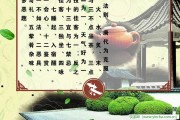 日本茶道的起源與發(fā)展，陳皮泡水