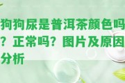 狗狗尿是普洱茶顏色嗎？正常嗎？圖片及起因分析