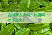 古樹茶去火嗎？怎樣喝才不上火？