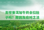 青柑普洱加牛奶會拉肚子嗎？起因及應(yīng)對之法