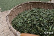 老班章村民小組茶農協(xié)會監(jiān)制與成立時間，以及茶農收入情況。