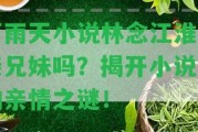 下雨天小說林念江淮是親兄妹嗎？揭開小說中的親情之謎！