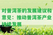 對普洱茶的發(fā)展建議和意見：推動普洱茶產(chǎn)業(yè)持續(xù)發(fā)展