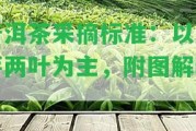 普洱茶采摘標(biāo)準(zhǔn)：以一芽兩葉為主，附圖解釋。