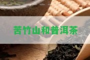 苦竹山和普洱茶