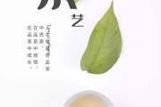 安徽茶產(chǎn)業(yè)和茶文化發(fā)展調(diào)研報(bào)告，檸檬綠茶