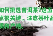 怎樣挑選普洱茶?這五點(diǎn)很關(guān)鍵，留意茶葉品質(zhì)和產(chǎn)地。