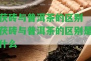 茯磚與普洱茶的區(qū)別 茯磚與普洱茶的區(qū)別是什么